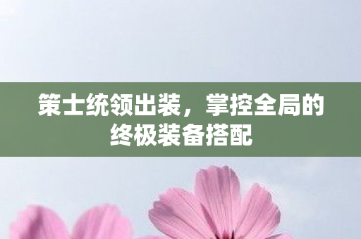 策士统领出装,掌控全局的终极装备搭配 策士统领出装,掌控全局的终极装备搭配