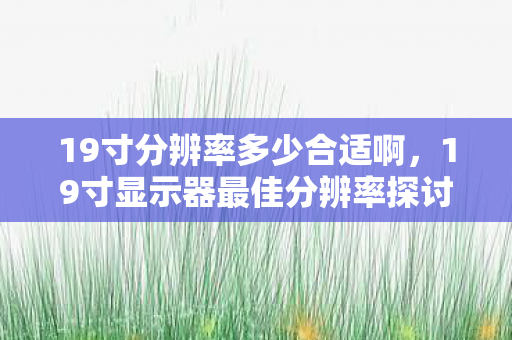 19寸分辨率多少合适啊,19寸显示器最佳分辨率探讨 19寸分辨率多少合适啊,19寸显示器最佳分辨率探讨