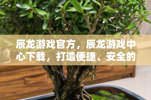 辰龙游戏官方，辰龙游戏中心下载，打造便捷、安全的游戏体验