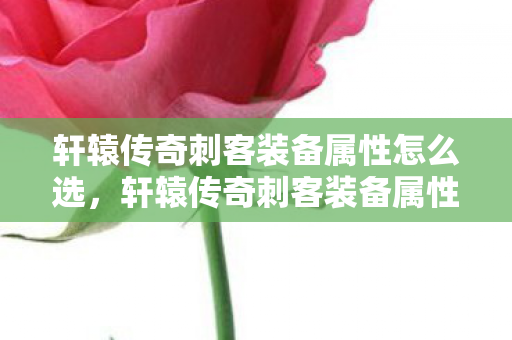 轩辕传奇刺客装备属性怎么选,轩辕传奇刺客装备属性详解,打造顶级刺客的必备神器 轩辕传奇刺客装备属性怎么选,轩辕传奇刺客装备属性详解,打造顶级刺客的必备神器