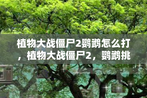 植物大战僵尸2鹦鹉怎么打,植物大战僵尸2,鹦鹉挑战攻略 植物大战僵尸2鹦鹉怎么打,植物大战僵尸2,鹦鹉挑战攻略