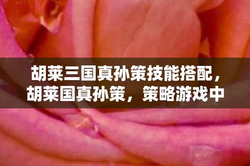 胡莱三国真孙策技能搭配,胡莱国真孙策,策略游戏中的智谋与激情 胡莱三国真孙策技能搭配,胡莱国真孙策,策略游戏中的智谋与激情