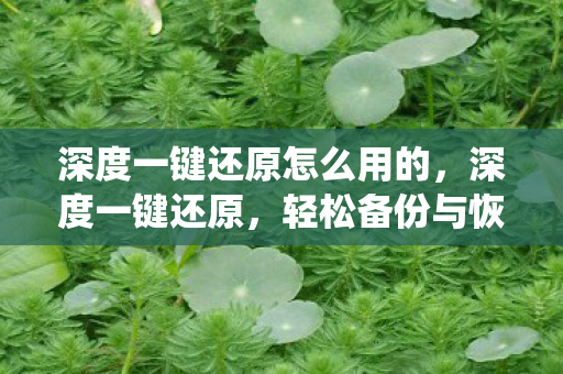 深度一键还原怎么用的,深度一键还原,轻松备份与恢复系统 深度一键还原怎么用的,深度一键还原,轻松备份与恢复系统