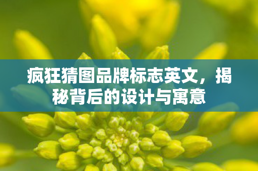 疯狂猜图品牌标志英文,揭秘背后的设计与寓意 疯狂猜图品牌标志英文,揭秘背后的设计与寓意