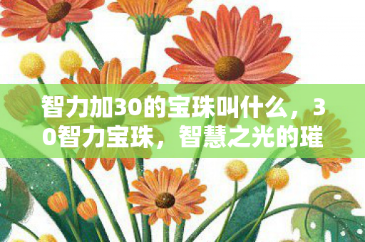 智力加30的宝珠叫什么，30智力宝珠，智慧之光的璀璨命名