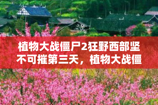 植物大战僵尸2狂野西部坚不可摧第三天，植物大战僵尸2西部，坚不可摧的战术与策略