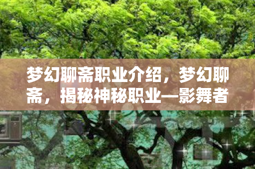 梦幻聊斋职业介绍，梦幻聊斋，揭秘神秘职业—影舞者的传奇故事