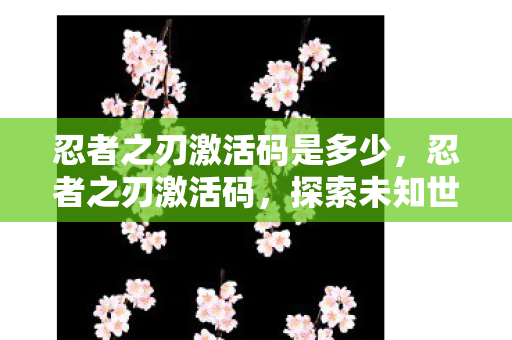 忍者之刃激活码是多少,忍者之刃激活码,探索未知世界的神秘钥匙 忍者之刃激活码是多少,忍者之刃激活码,探索未知世界的神秘钥匙