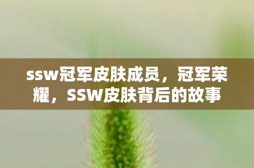 ssw冠军皮肤成员,冠军荣耀,SSW皮肤背后的故事 ssw冠军皮肤成员,冠军荣耀,SSW皮肤背后的故事