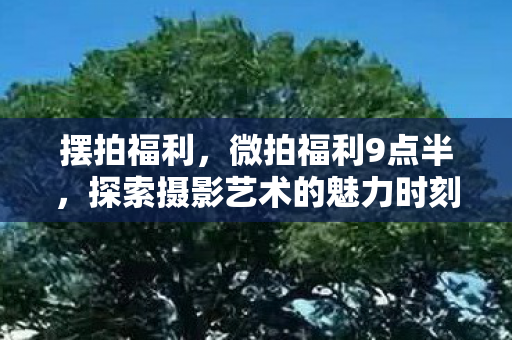 摆拍福利,微拍福利9点半,探索摄影艺术的魅力时刻 摆拍福利,微拍福利9点半,探索摄影艺术的魅力时刻