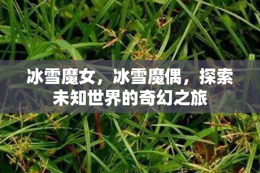 冰雪魔女,冰雪魔偶,探索未知世界的奇幻之旅 冰雪魔女,冰雪魔偶,探索未知世界的奇幻之旅