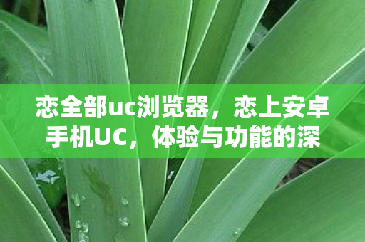恋全部uc浏览器,恋上安卓手机UC,体验与功能的深度解析 恋全部uc浏览器,恋上安卓手机UC,体验与功能的深度解析