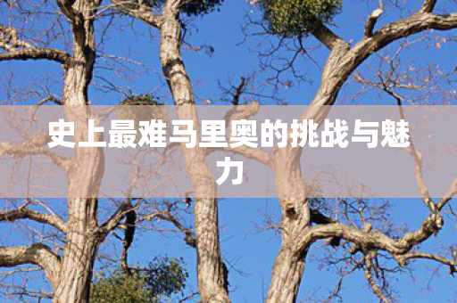 史上最难马里奥的挑战与魅力 史上最难马里奥的挑战与魅力