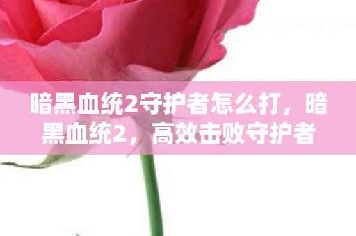 暗黑血统2守护者怎么打，暗黑血统2，高效击败守护者的策略指南