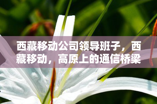 西藏移动公司领导班子,西藏移动,高原上的通信桥梁,助力西藏发展 西藏移动公司领导班子,西藏移动,高原上的通信桥梁,助力西藏发展