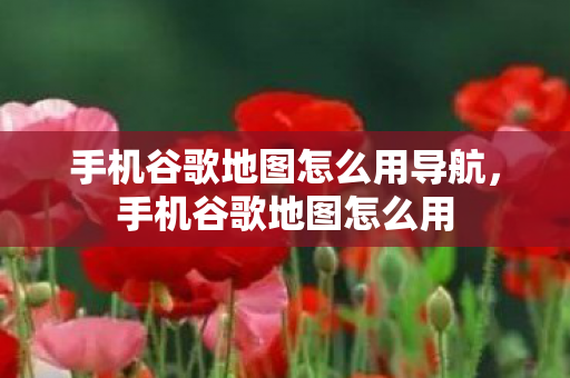 手机谷歌地图怎么用导航,手机谷歌地图怎么用 手机谷歌地图怎么用导航,手机谷歌地图怎么用