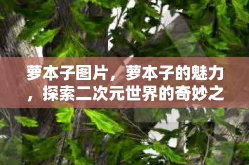 萝本子图片,萝本子的魅力,探索二次元世界的奇妙之旅 萝本子图片,萝本子的魅力,探索二次元世界的奇妙之旅