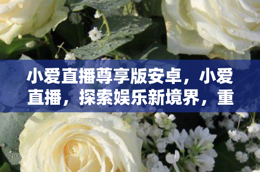 小爱直播尊享版安卓,小爱直播,探索娱乐新境界,重塑直播新体验 小爱直播尊享版安卓,小爱直播,探索娱乐新境界,重塑直播新体验