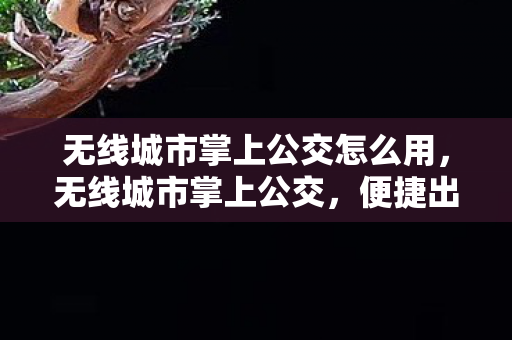 无线城市掌上公交怎么用,无线城市掌上公交,便捷出行的智能新选择 无线城市掌上公交怎么用,无线城市掌上公交,便捷出行的智能新选择