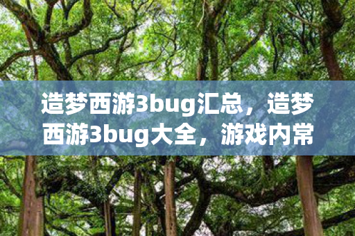 造梦西游3bug汇总,造梦西游3bug大全,游戏内常见问题及解决方案 造梦西游3bug汇总,造梦西游3bug大全,游戏内常见问题及解决方案