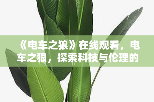 《电车之狼》在线观看,电车之狼,探索科技与伦理的灰色地带 《电车之狼》在线观看,电车之狼,探索科技与伦理的灰色地带