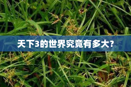 天下3的世界究竟有多大？