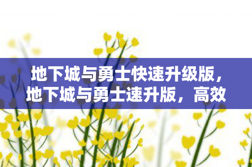 地下城与勇士快速升级版,地下城与勇士速升版,高效升级攻略与心得分享 地下城与勇士快速升级版,地下城与勇士速升版,高效升级攻略与心得分享