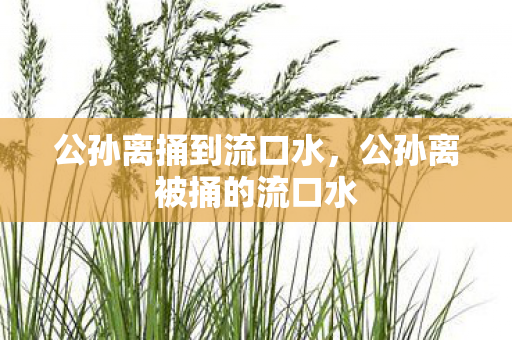 公孙离捅到流口水,公孙离被捅的流口水 公孙离捅到流口水,公孙离被捅的流口水