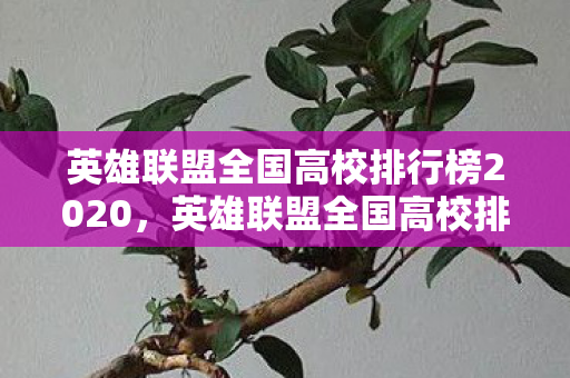 英雄联盟全国高校排行榜2020，英雄联盟全国高校排行榜，战火中的电竞精英