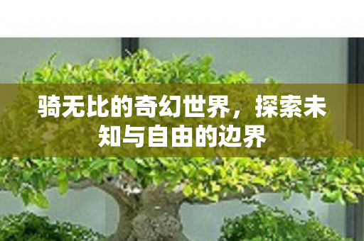 骑无比的奇幻世界,探索未知与自由的边界 骑无比的奇幻世界,探索未知与自由的边界