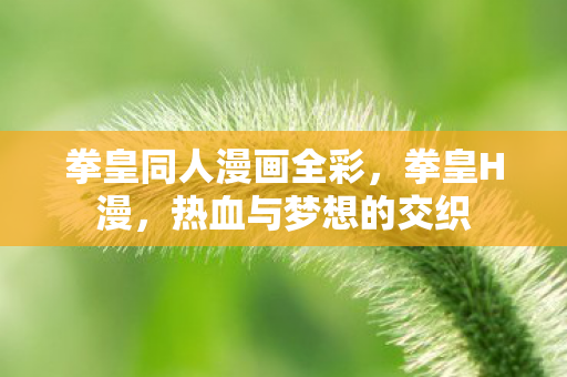 拳皇同人漫画全彩,拳皇H漫,热血与梦想的交织 拳皇同人漫画全彩,拳皇H漫,热血与梦想的交织