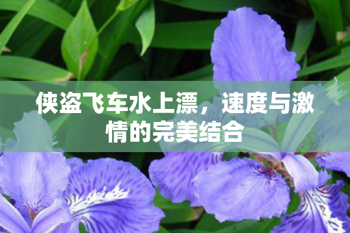 侠盗飞车水上漂,速度与激情的完美结合 侠盗飞车水上漂,速度与激情的完美结合