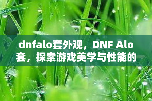 dnfalo套外观，DNF Alo套，探索游戏美学与性能的完美融合