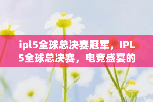 ipl5全球总决赛冠军,IPL5全球总决赛,电竞盛宴的激情与荣耀 ipl5全球总决赛冠军,IPL5全球总决赛,电竞盛宴的激情与荣耀