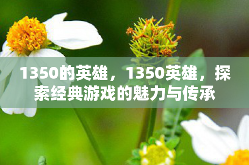 1350的英雄,1350英雄,探索经典游戏的魅力与传承 1350的英雄,1350英雄,探索经典游戏的魅力与传承