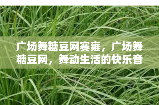 广场舞糖豆网赛雍，广场舞糖豆网，舞动生活的快乐音符