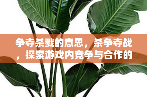 争夺杀戮的意思，杀争夺战，探索游戏内竞争与合作的微妙平衡