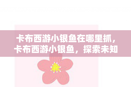 卡布西游小银鱼在哪里抓，卡布西游小银鱼，探索未知世界的奇妙旅程