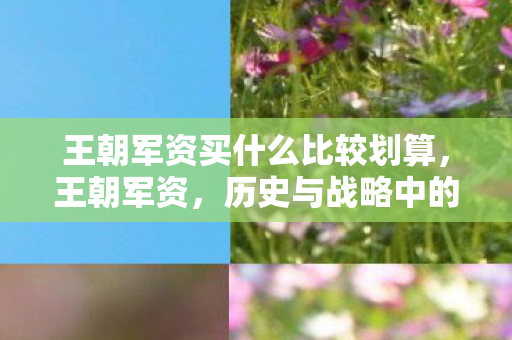 王朝军资买什么比较划算,王朝军资,历史与战略中的军事资源积累 王朝军资买什么比较划算,王朝军资,历史与战略中的军事资源积累