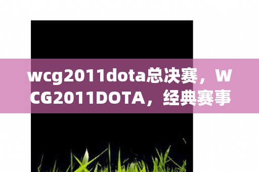 wcg2011dota总决赛，WCG2011DOTA，经典赛事的辉煌与传承