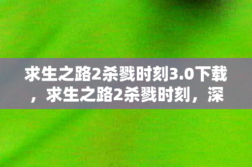 求生之路2杀戮时刻3.0下载,求生之路2杀戮时刻,深度解析游戏背后的策略与技巧 求生之路2杀戮时刻3.0下载,求生之路2杀戮时刻,深度解析游戏背后的策略与技巧