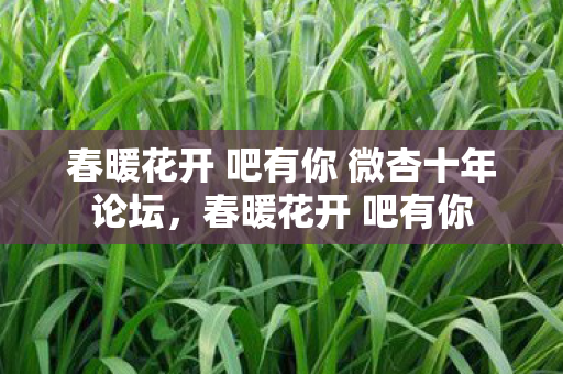春暖花开 吧有你 微杏十年论坛,春暖花开 吧有你 春暖花开 吧有你 微杏十年论坛,春暖花开 吧有你