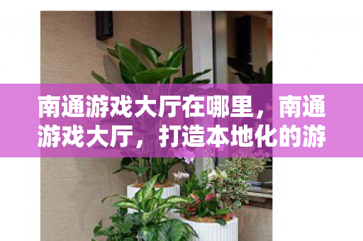 南通游戏大厅在哪里，南通游戏大厅，打造本地化的游戏娱乐新体验