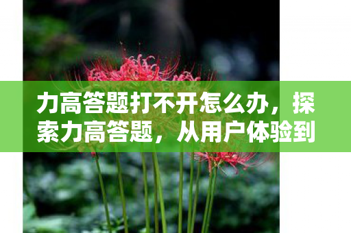 力高答题打不开怎么办,探索力高答题,从用户体验到技术创新的深度剖析 力高答题打不开怎么办,探索力高答题,从用户体验到技术创新的深度剖析