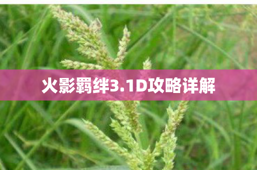 火影羁绊3.1D攻略详解 火影羁绊3.1D攻略详解