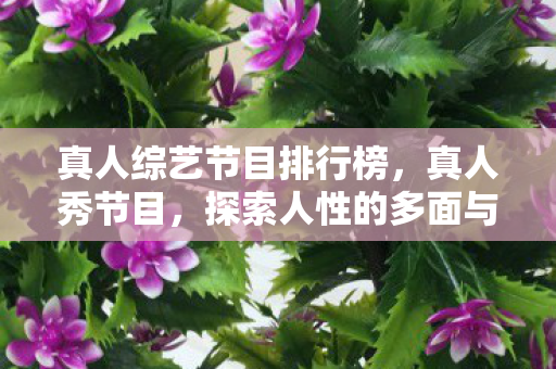 真人综艺节目排行榜,真人秀节目,探索人性的多面与社会的镜像 真人综艺节目排行榜,真人秀节目,探索人性的多面与社会的镜像