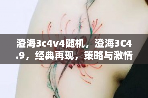 澄海3c4v4随机，澄海3C4.9，经典再现，策略与激情的碰撞