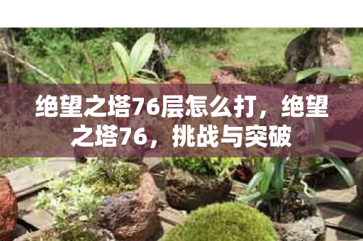绝望之塔76层怎么打，绝望之塔76，挑战与突破