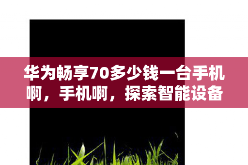 华为畅享70多少钱一台手机啊，手机啊，探索智能设备背后的科技与创新