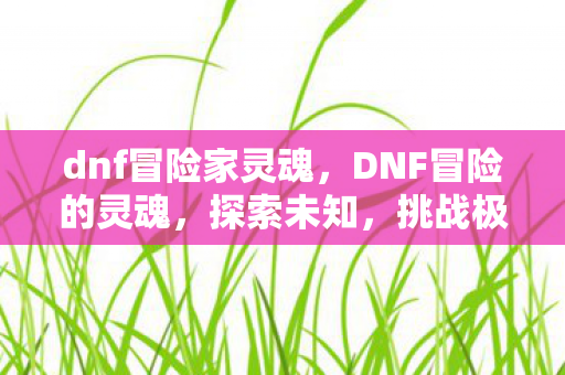 dnf冒险家灵魂,DNF冒险的灵魂,探索未知,挑战极限 dnf冒险家灵魂,DNF冒险的灵魂,探索未知,挑战极限